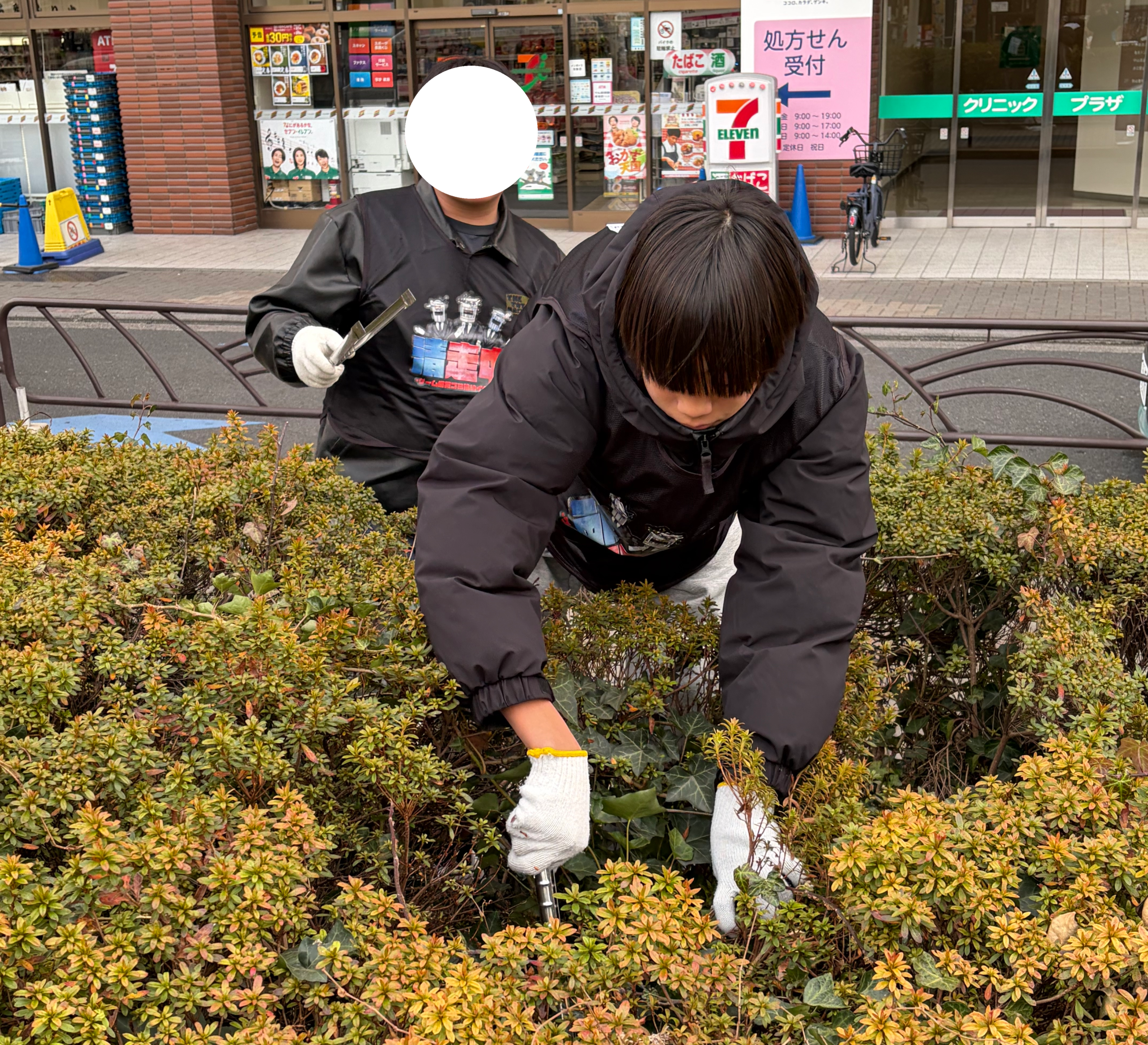 清掃中葛飾区編ゴミ拾いの様子
